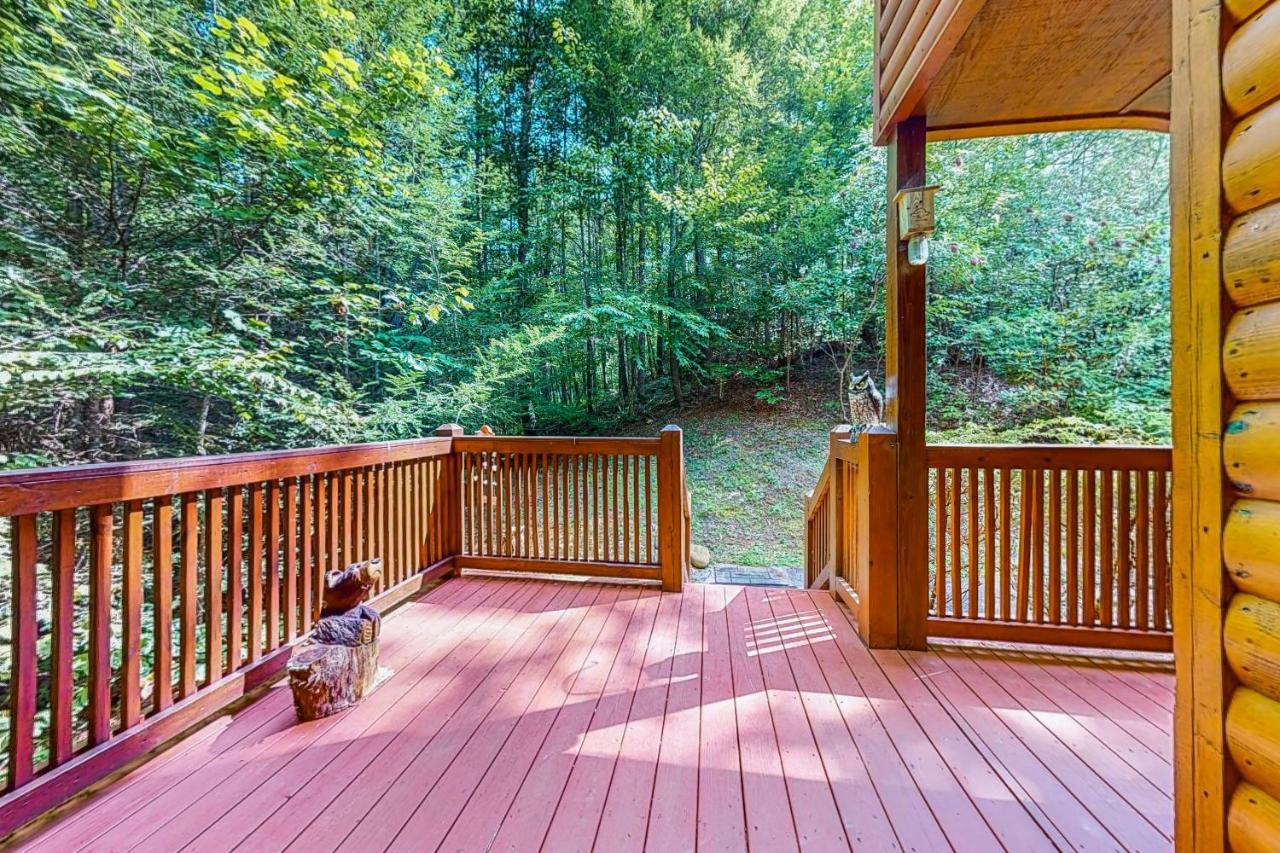 Cozy Cub Cabin 개틀린버그 외부 사진